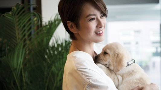 小Q