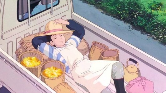 おもひでぽろぽろ