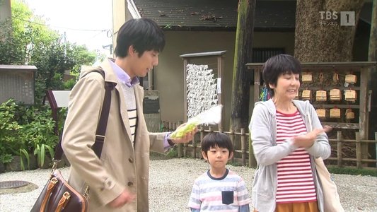 華の下にて