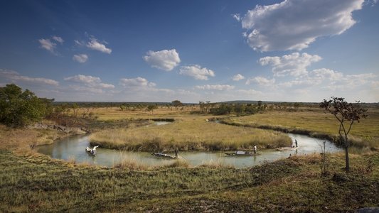 Into the Okavango