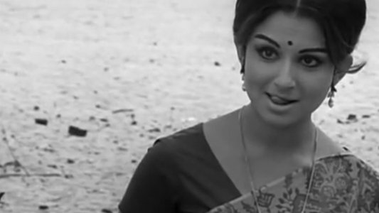 অরণ্যের দিনরাত্রি