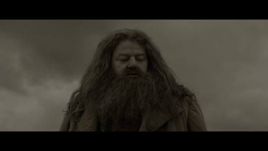 Harry Potter and the Half-Blood Prince