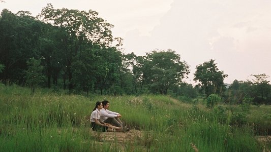 ดาวคะนอง