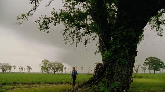 True Detective