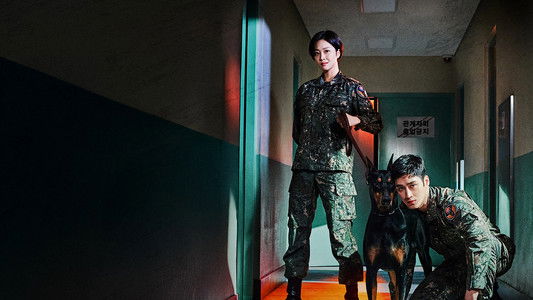 군검사 도베르만