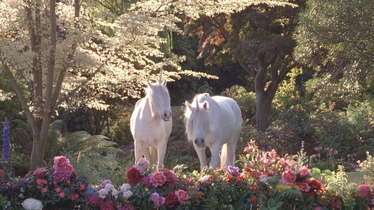 Heavenly Creatures