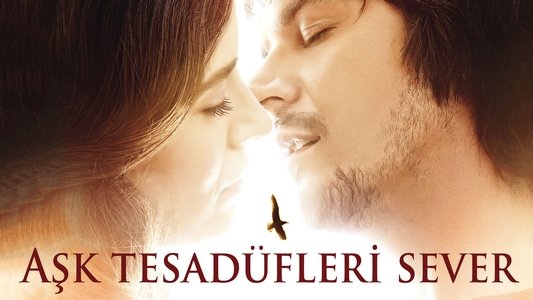 Aşk Tesadüfleri Sever