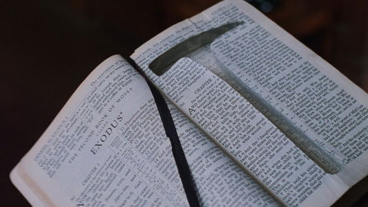 The Shawshank Redemption