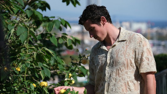 Rosebush Pruning