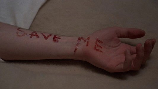 Amityville II: The Possession