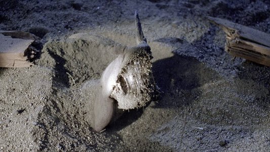 Tremors