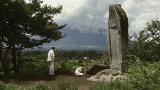 トラック野郎　御意見無用