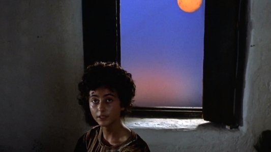 Il fiore delle Mille e una notte