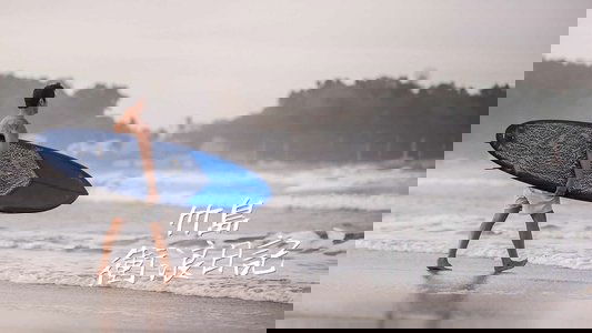죽도 서핑 다이어리