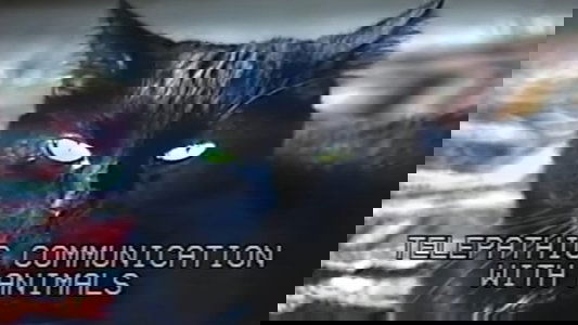 Telepathic Communication with Animals