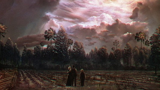 The Yearling