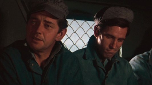 Cool Hand Luke