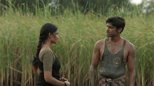 பைசன் காளமாடன்