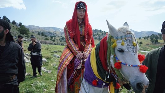 Elif Ana