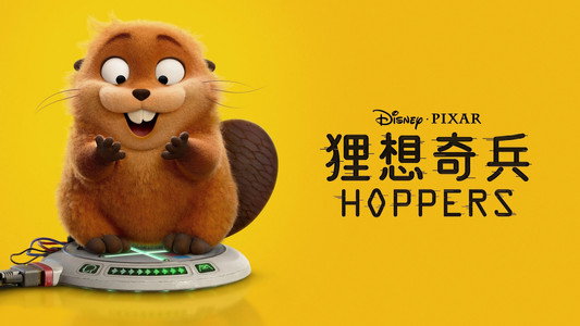 Hoppers