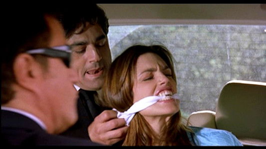 Body Guards - Guardie del corpo