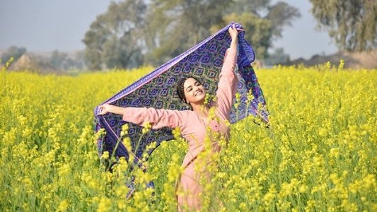 ਨਾਢੂ ਖਾਨ