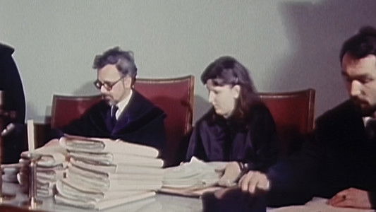 Keine Insel - Die Palmers Entführung 1977