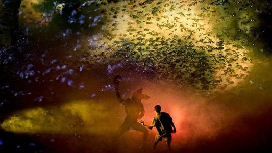 Behind the Curtain: Stranger Things: The First Shadow