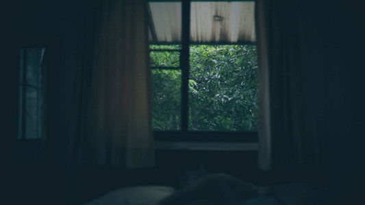 แดนศักดิ์สิทธิ์