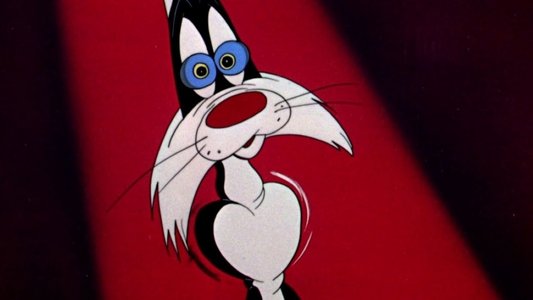Scaredy Cat