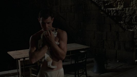 Midnight Express
