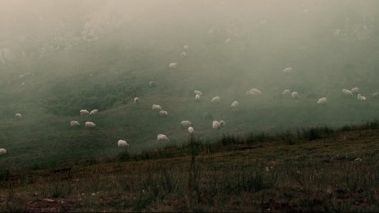 Salvajes, El Cuento Del Lobo