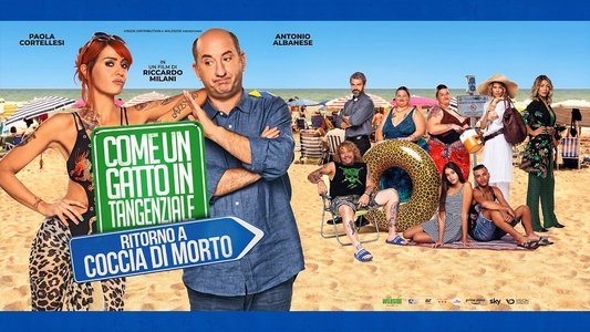 Come un gatto in tangenziale