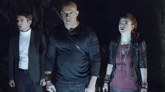 The Last Witch Hunter