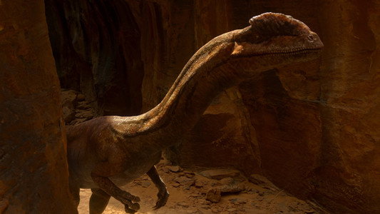 The Dinosaurs