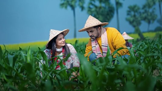 মন দুয়ারী