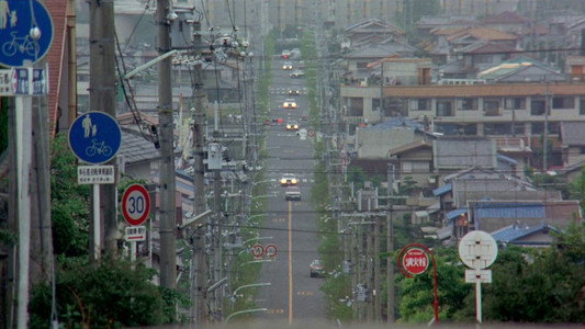 野獣刑事