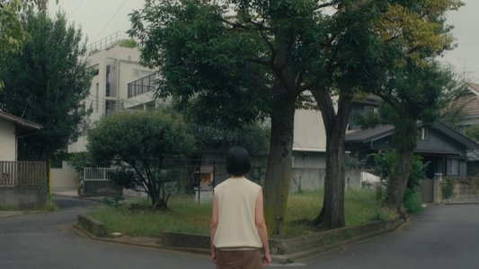 ナミビアの砂漠