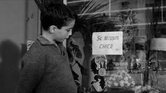 Se necesita chico