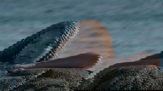 The Little Mermaid