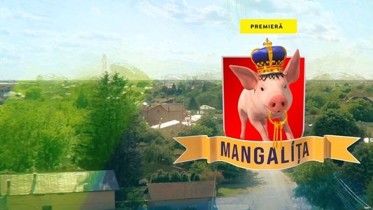 Mangalița