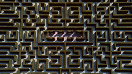 The Shining