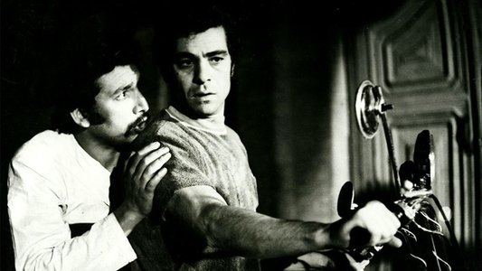 رضا موتوری