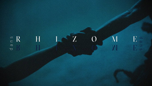 Rhizome