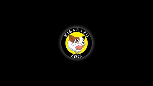 木更津キャッツアイ