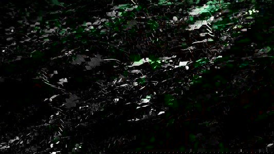 Cyclothymia of a Land
