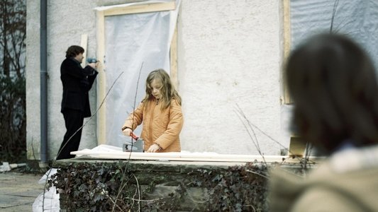 Montag kommen die Fenster
