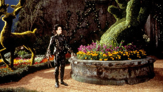 Edward Scissorhands