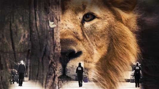 London Zoo: An Extraordinary Year