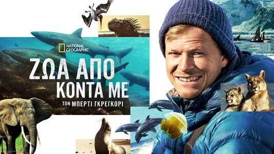Animals Up Close with Bertie Gregory